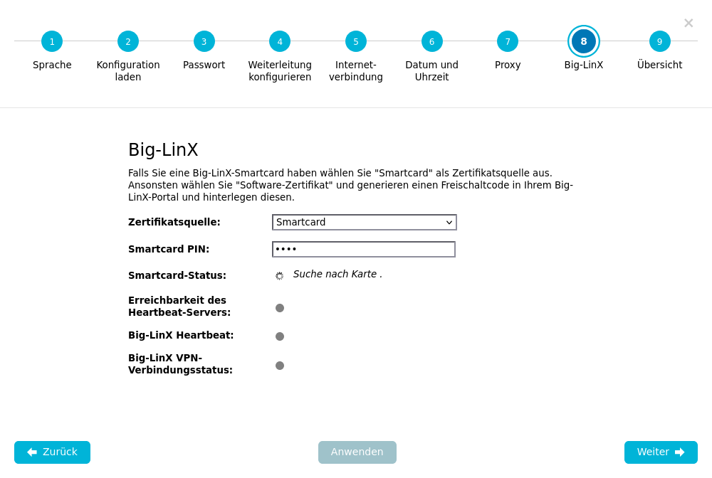 Konfigurations-Assistent — Schritt 8: Big-LinX